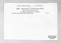 Image Associated With the Occurence